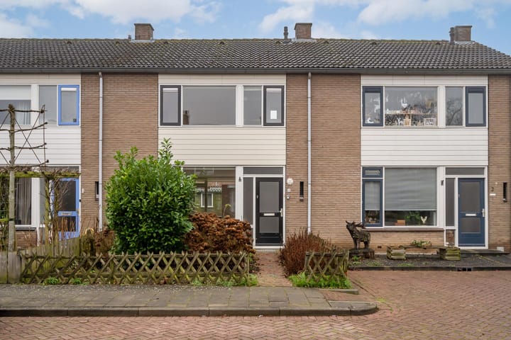 undefined main image