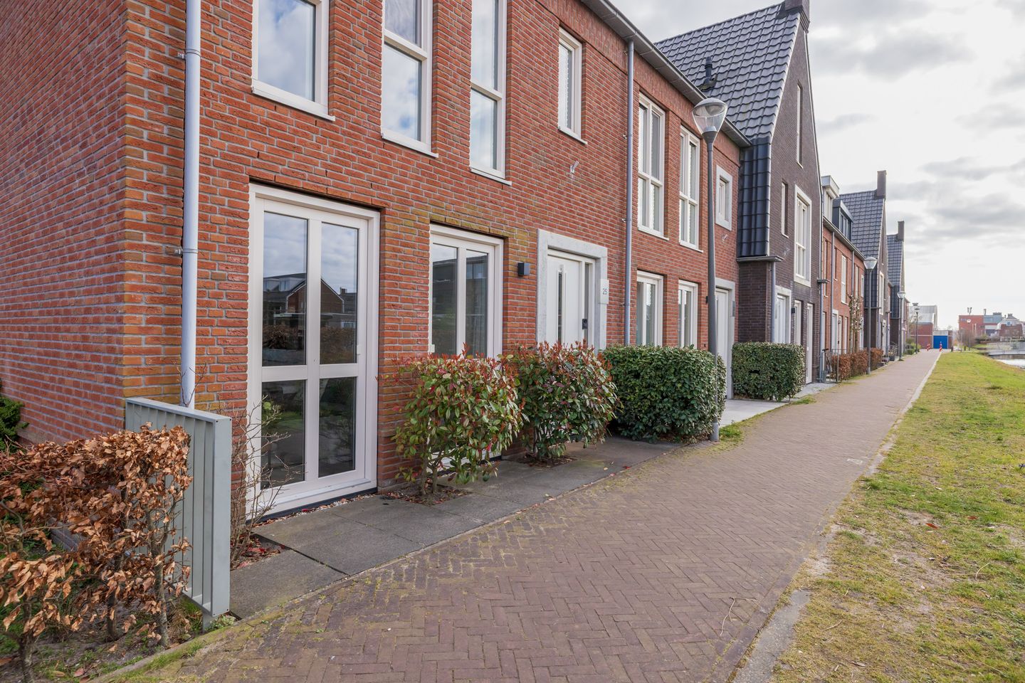 Foto 49 van Tulp 25