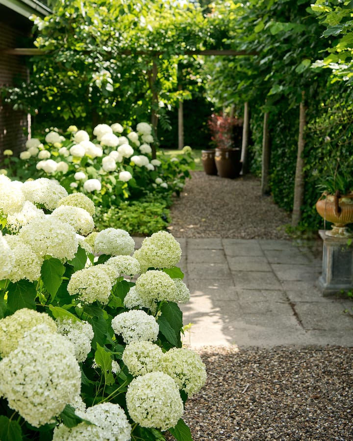 Photo 34 of Spoorstraat 9-C