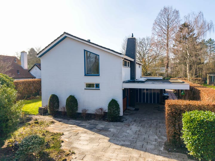 Foto 41 van Hondsruglaan 13