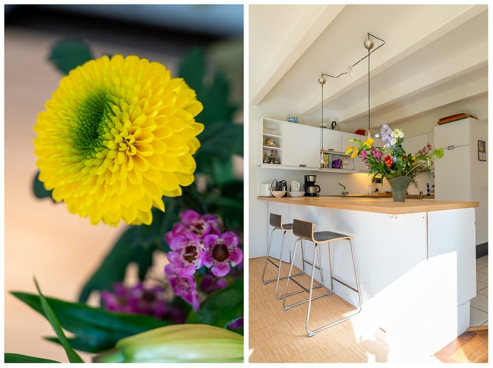 Foto 14 van Hondsruglaan 13