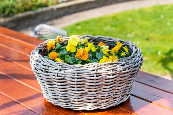 Foto 39 van Laan 1940-1945 166