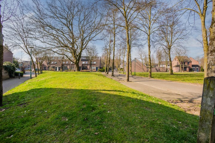 Photo 22 of Bereklauw 46