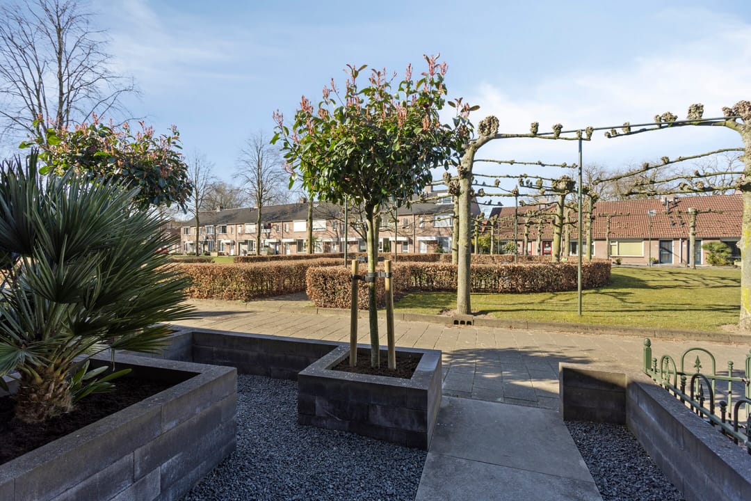 Foto 22 van Orion 27