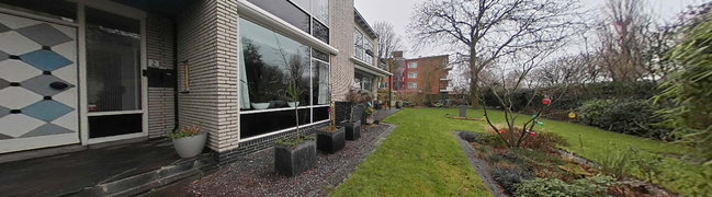 Tuin