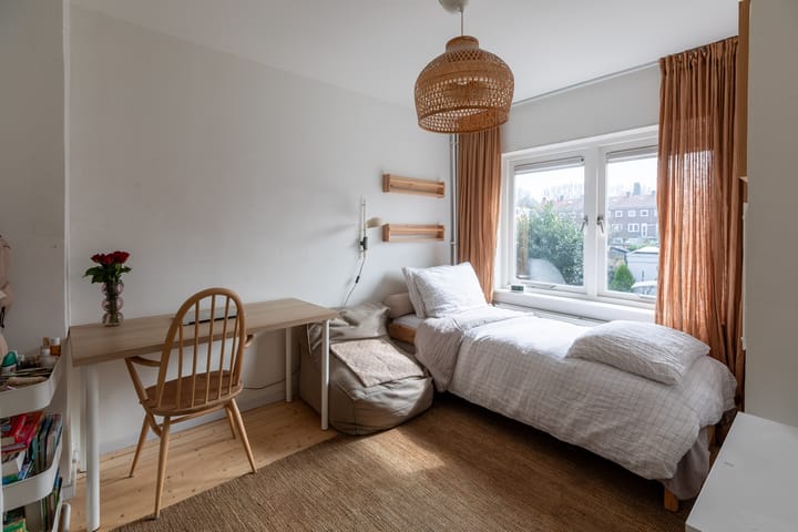 Foto 28 van De Meesterstraat 9