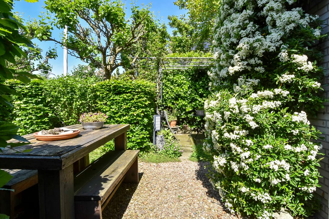 Foto 52 van Voordijkshoorn 53