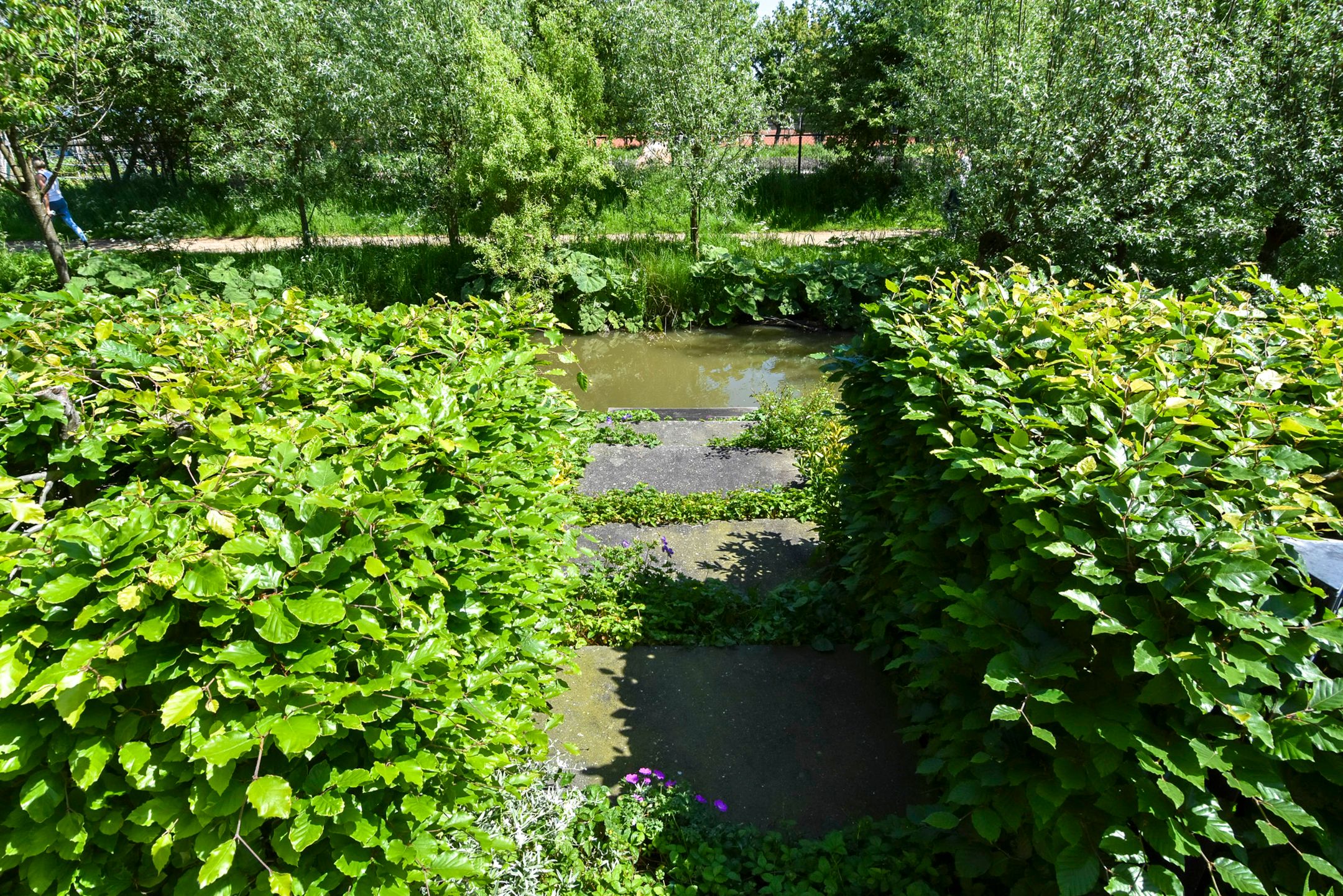 Foto 63 van Voordijkshoorn 53