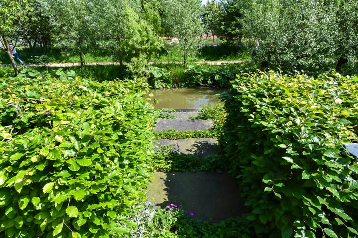 Foto 63 van Voordijkshoorn 53