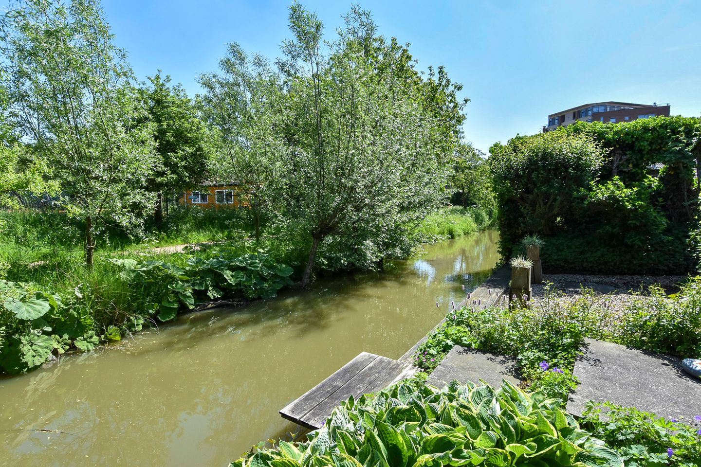 Foto 64 van Voordijkshoorn 53