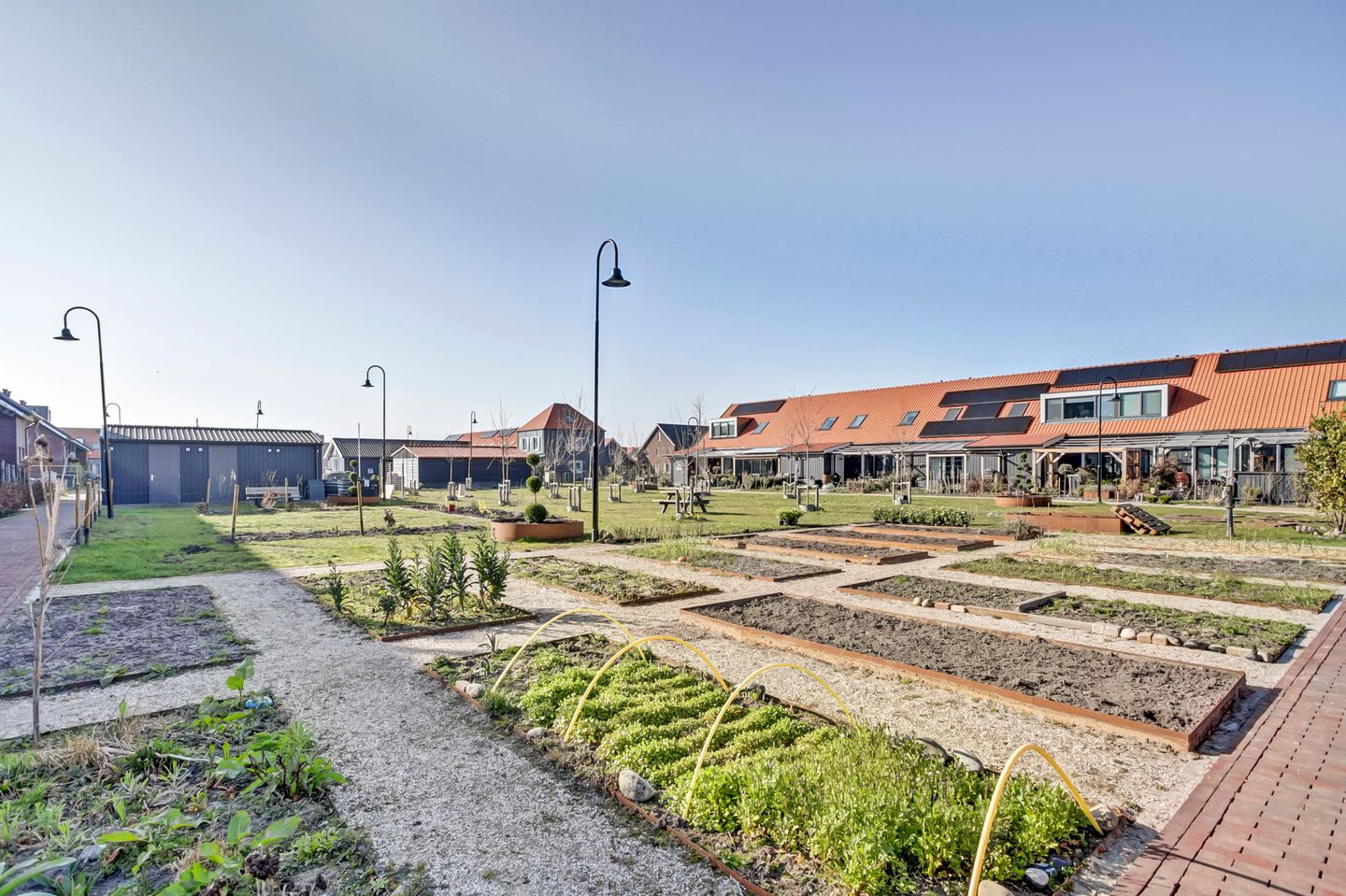 Foto 34 van De Banier 20