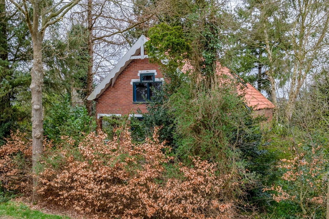 Photo 1 of Bonnerveen 53