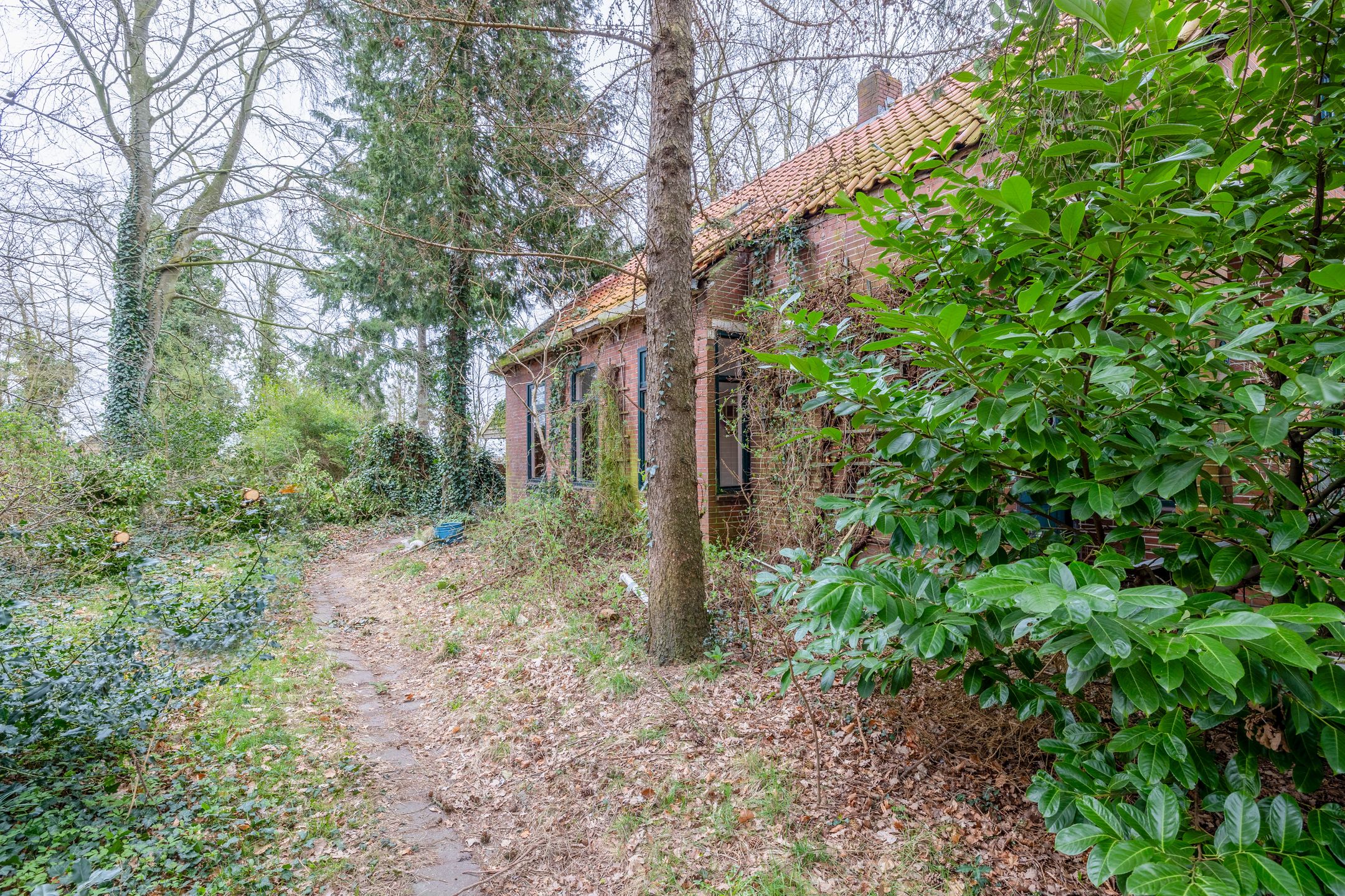 Photo 24 of Bonnerveen 53