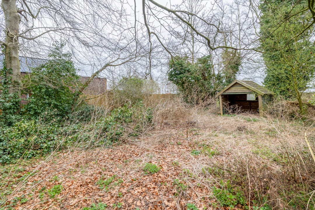 Photo 28 of Bonnerveen 53