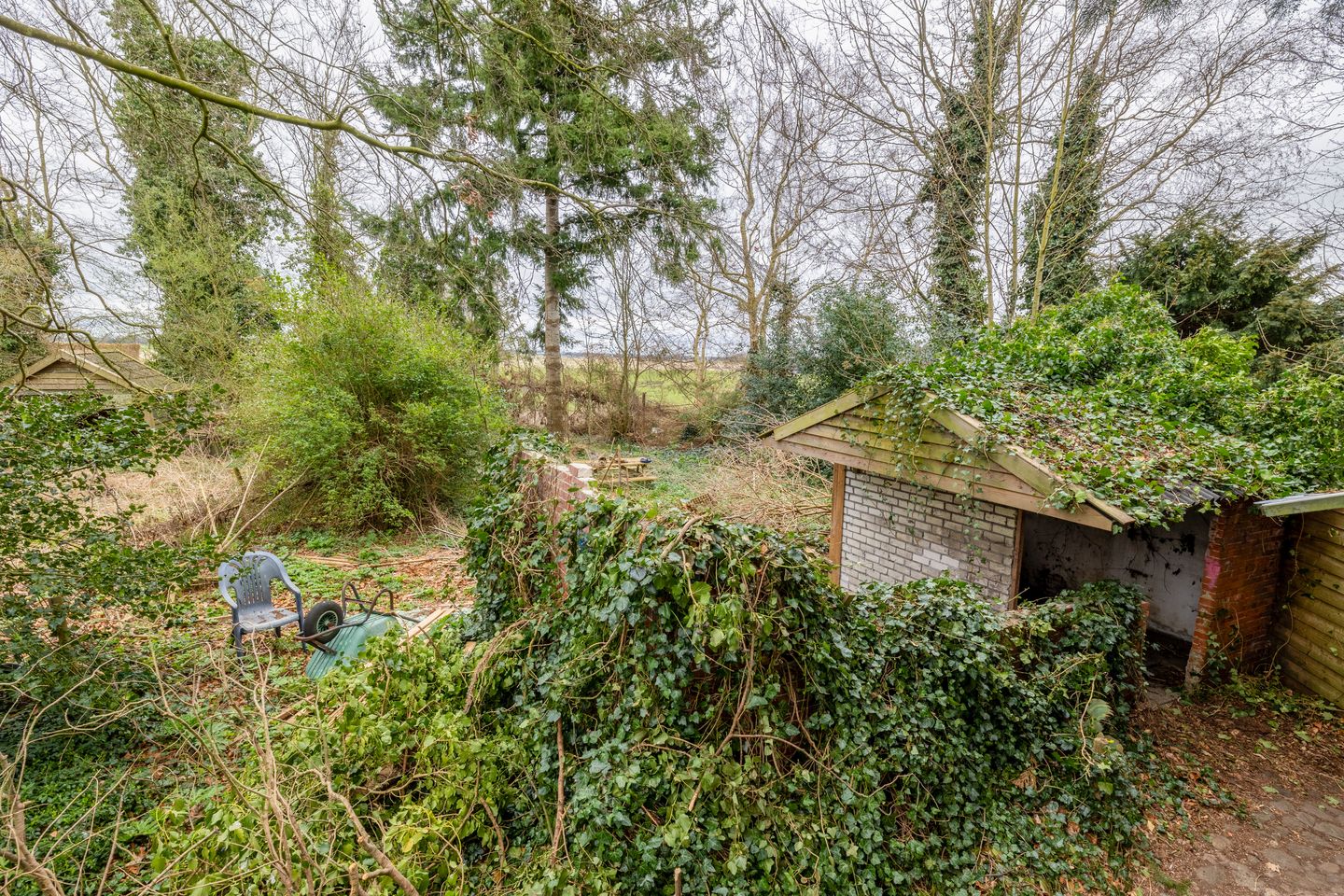 Photo 29 of Bonnerveen 53