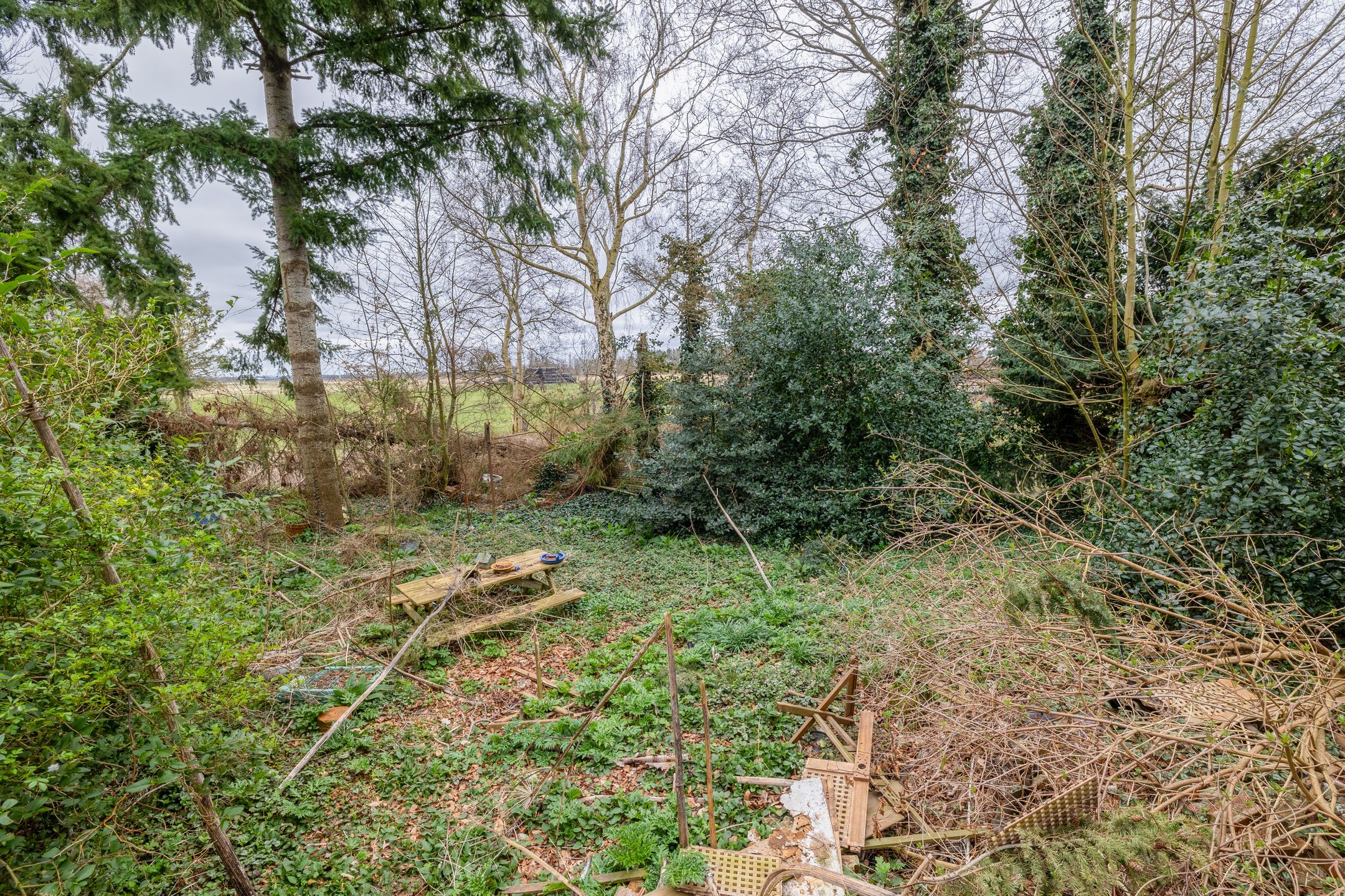 Photo 30 of Bonnerveen 53