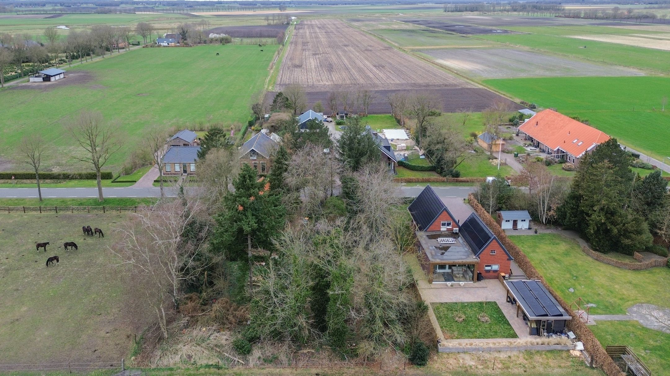 Photo 39 of Bonnerveen 53