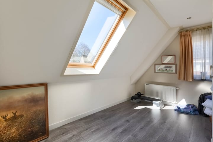 Photo 37 of Spade 19