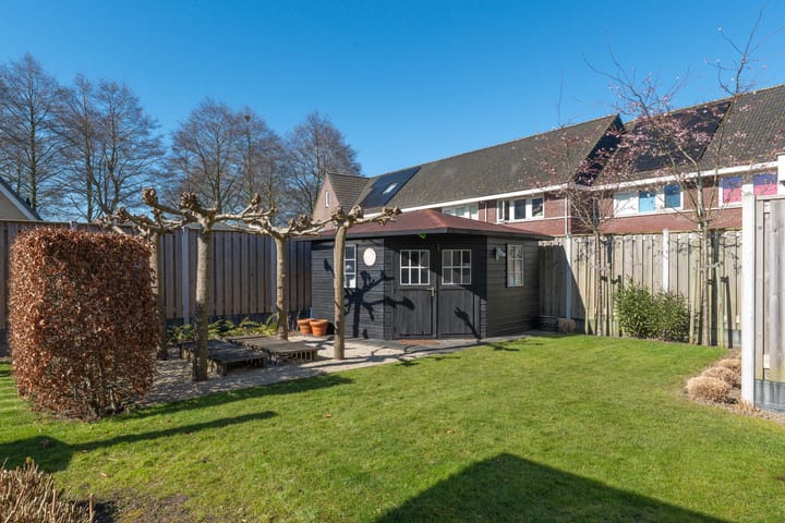 Photo 50 of Spade 19