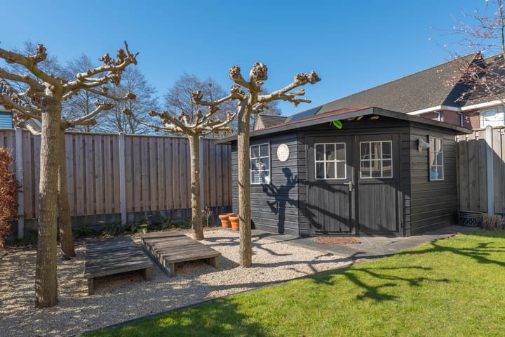 Photo 51 of Spade 19