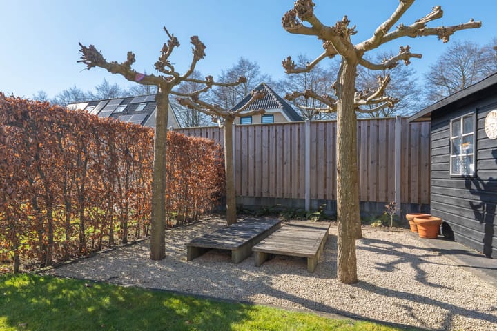 Photo 54 of Spade 19