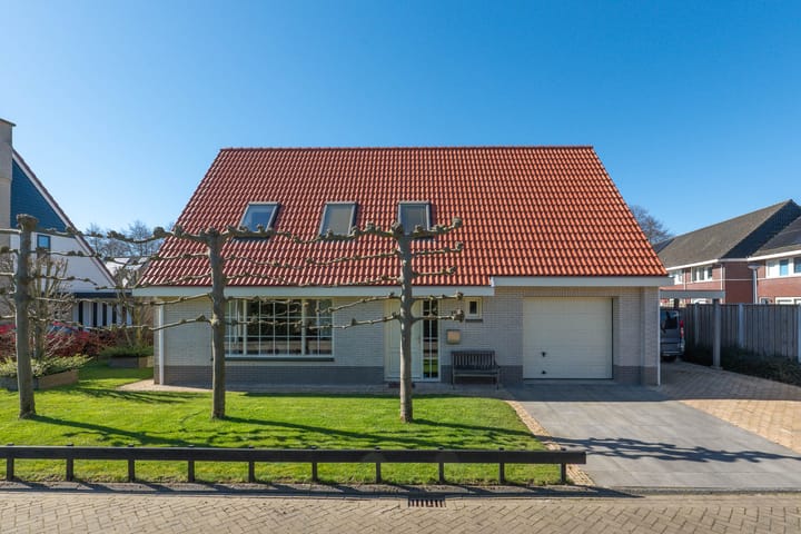 Photo 58 of Spade 19