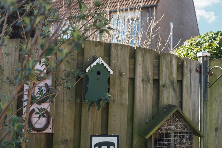 Foto 50 van Venraystraat 5