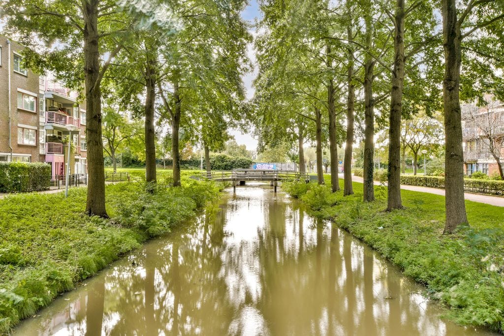 Foto 19 van Tielstraat 59