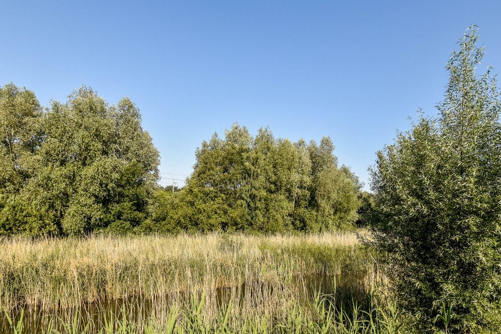 Foto 20 van Tielstraat 59