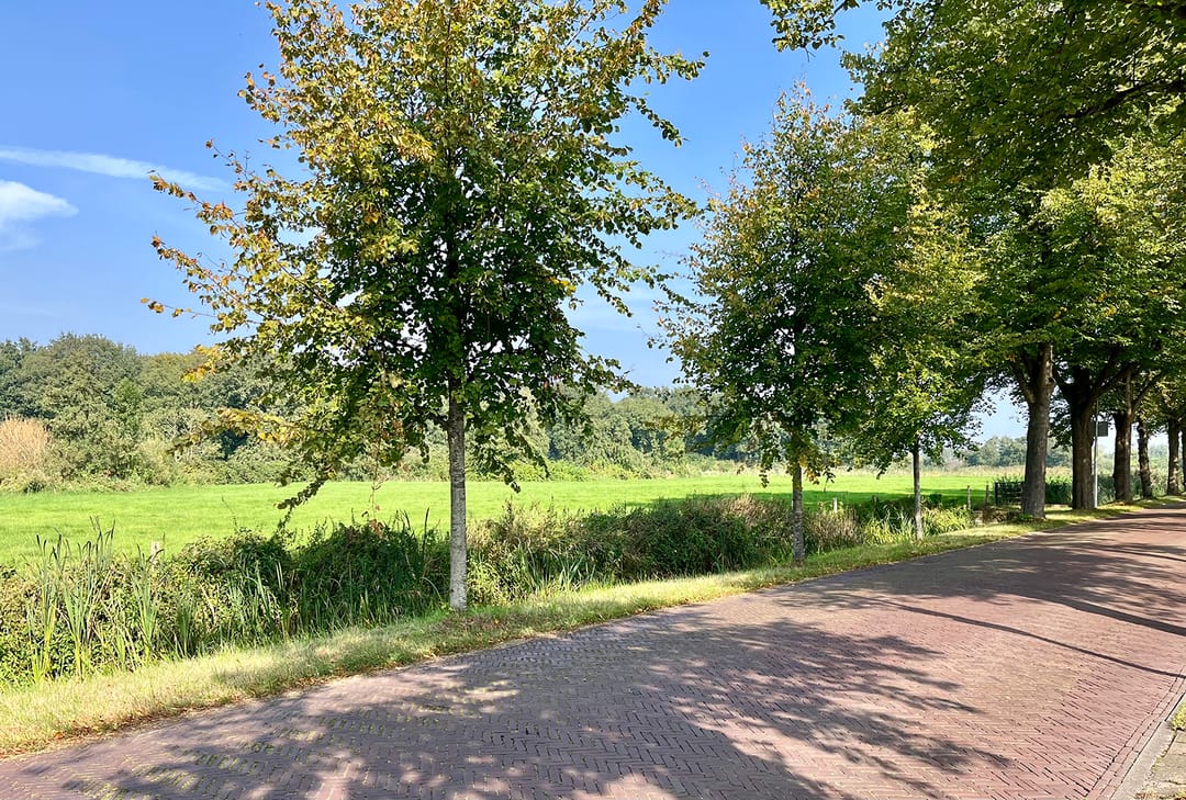 Photo 26 of Amersfoortsestraatweg 2