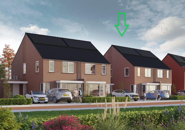 undefined main image