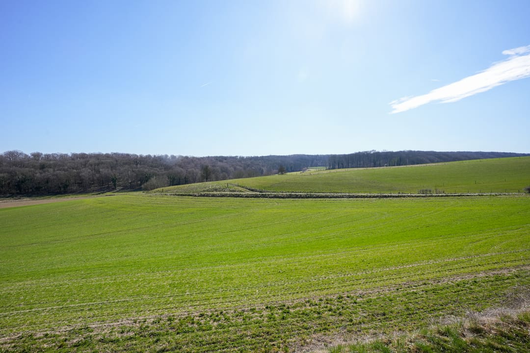 Foto 16 van Berghem 1-E306