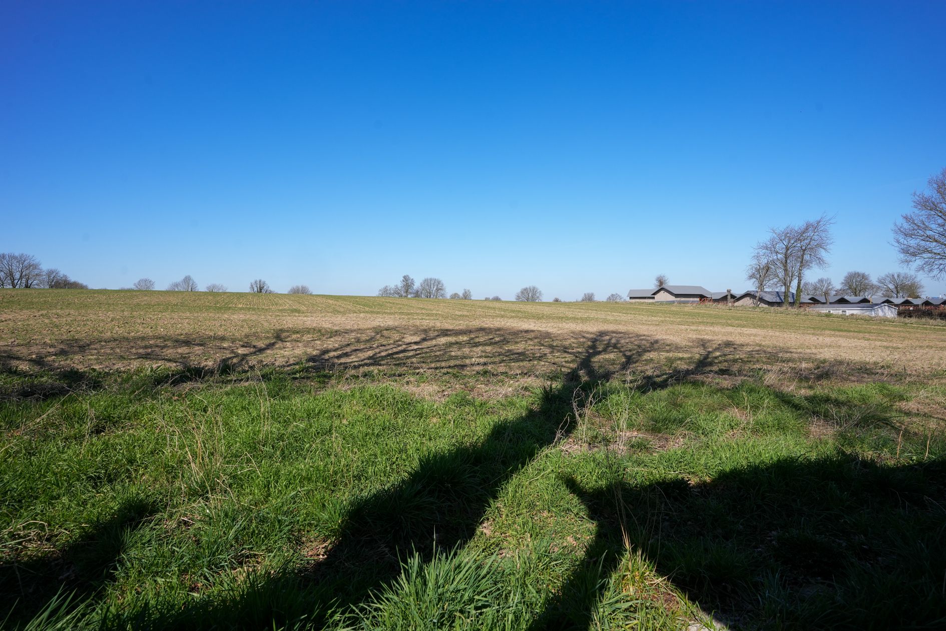 Photo 15 of Berghem 1 A23