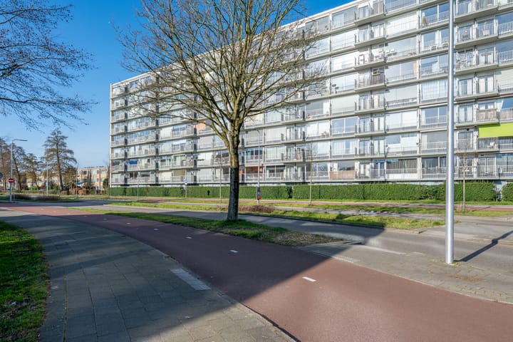 Foto 33 van Rauwenhofflaan 46