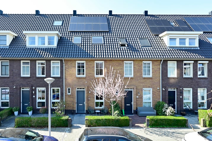 undefined main image