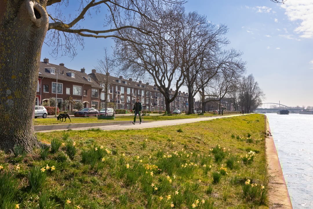 Foto 37 van Victor Hugoplantsoen 8-3