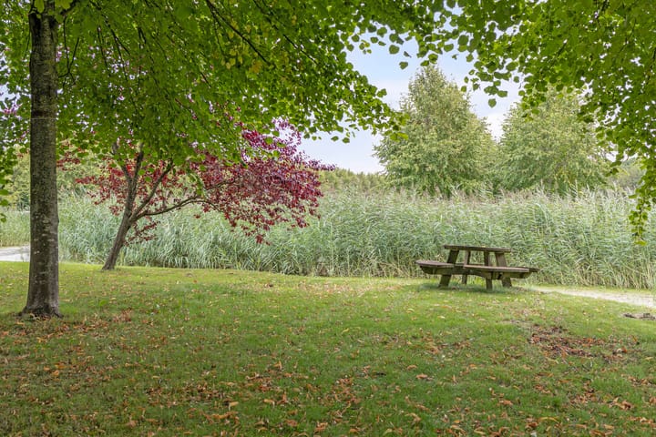 Foto 19 van Lommerrijk 2