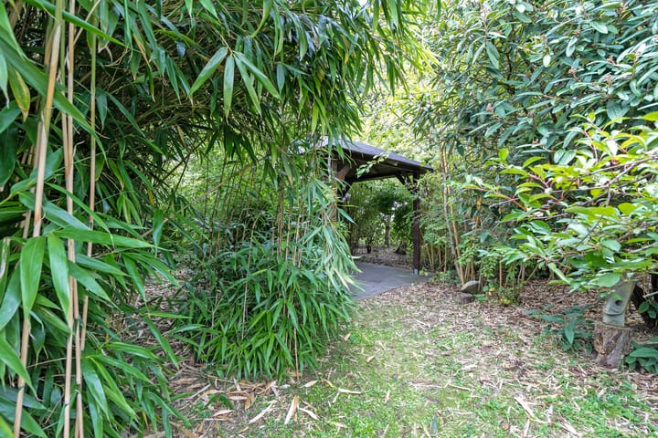 Foto 34 van Lommerrijk 2