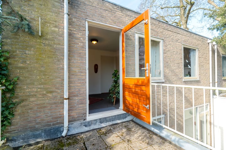 Foto 46 van Westerse Drift 66