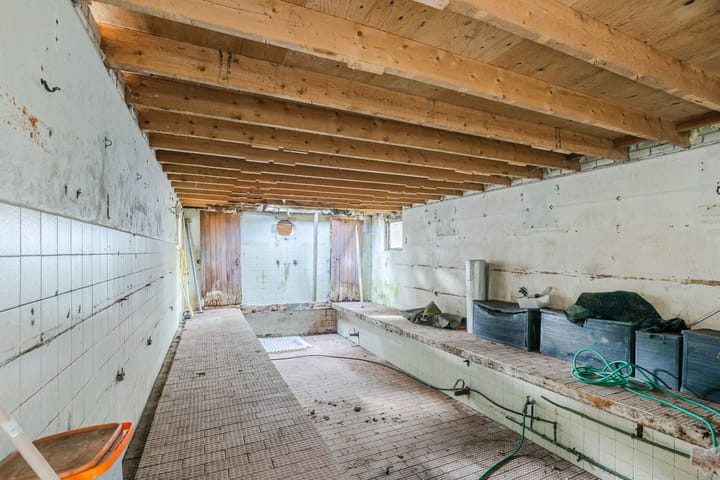 Foto 51 van Fennewei 8