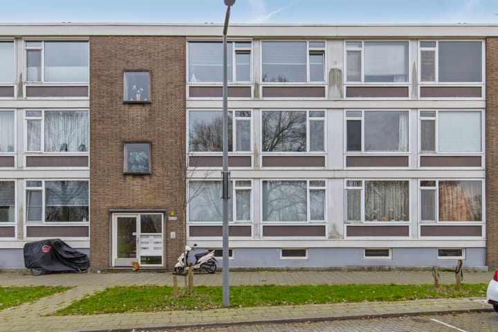 Adriaen Mijnlieffstraat 28