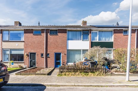 undefined main image