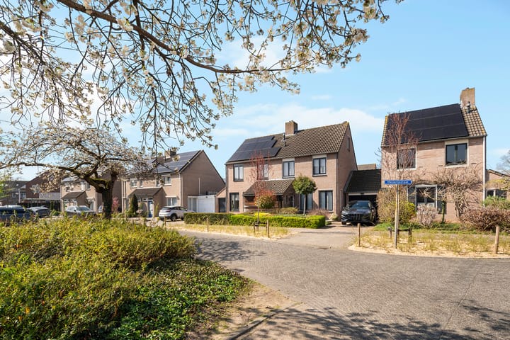 Foto 4 van Meierijstraat 6