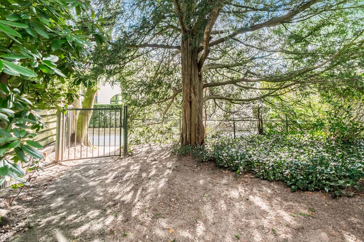 Foto 37 van Lindenheuvel 13