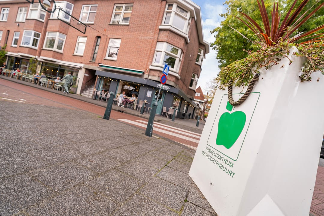 Foto 37 van Abrikozenstraat 149