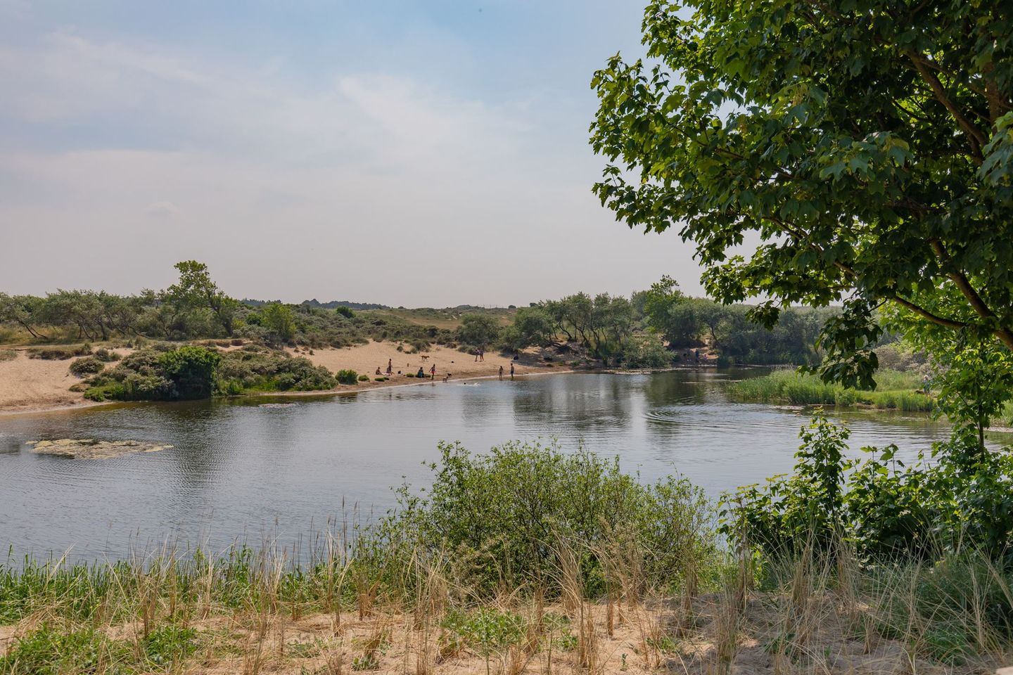 Foto 50 van Zandvoortselaan 7-A