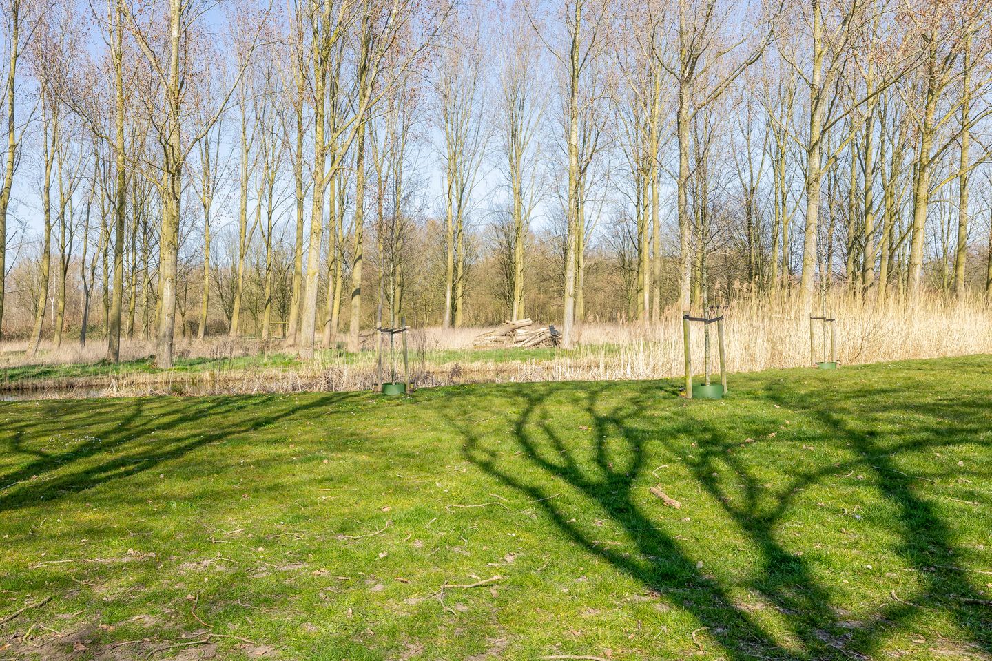 Foto 29 van Klaverveld 11