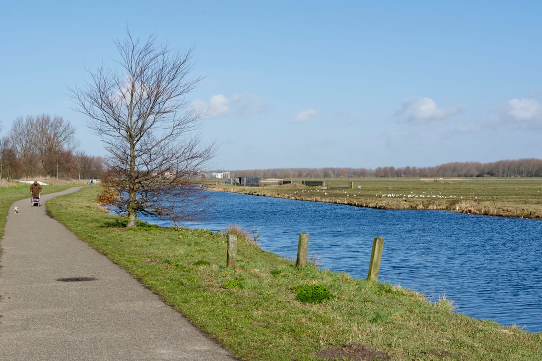 Foto 31 van Reigerstraat 45