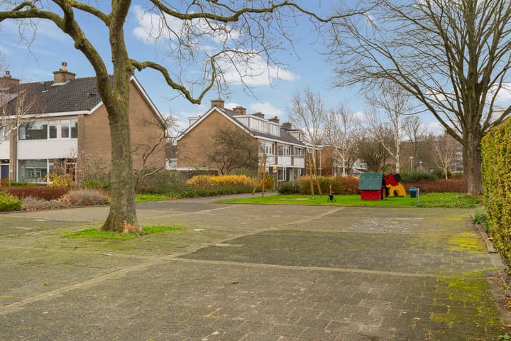 Foto 37 van Van Polanenpark 233