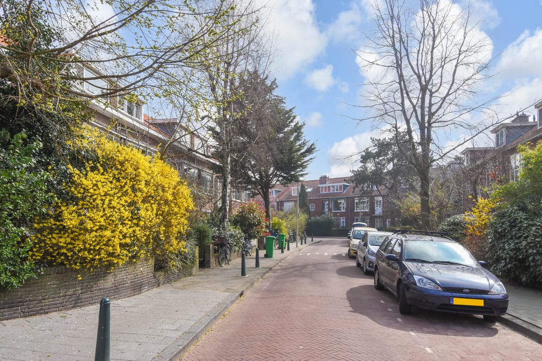 Foto 38 van Goudreinetstraat 149